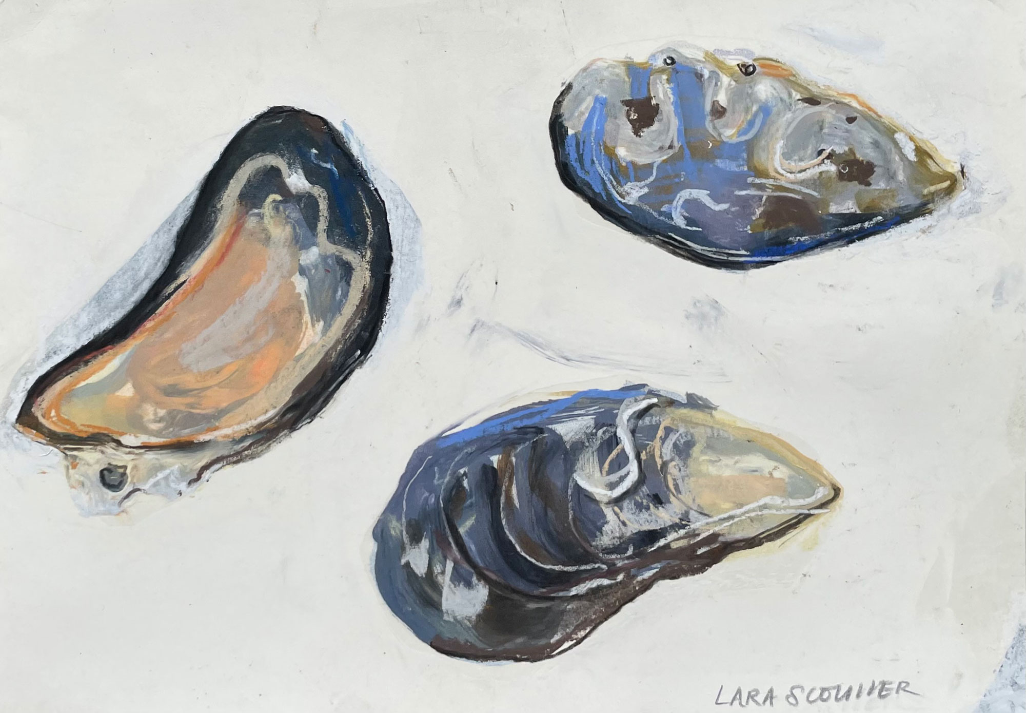 Lara  Scouller Mussels
