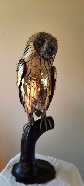 Hamish  Gilchrist Owl