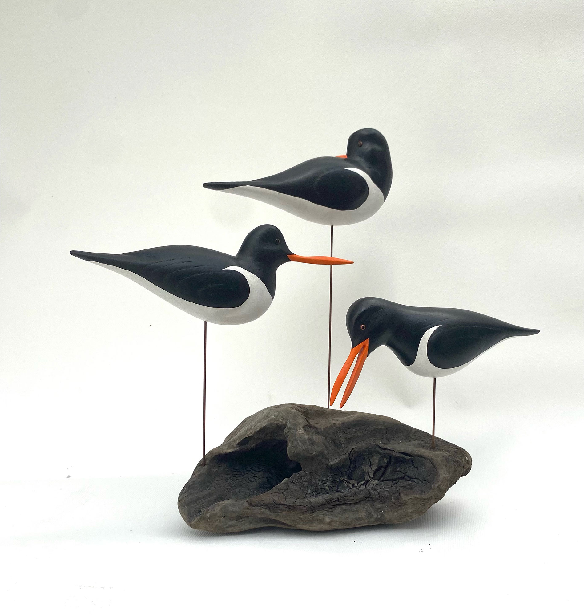 Michael Lythgoe Oyster Catcher Group 3
